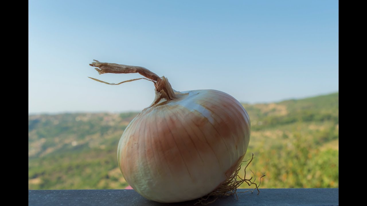 Cipolla di Vatolla Intrecciata (1kg)